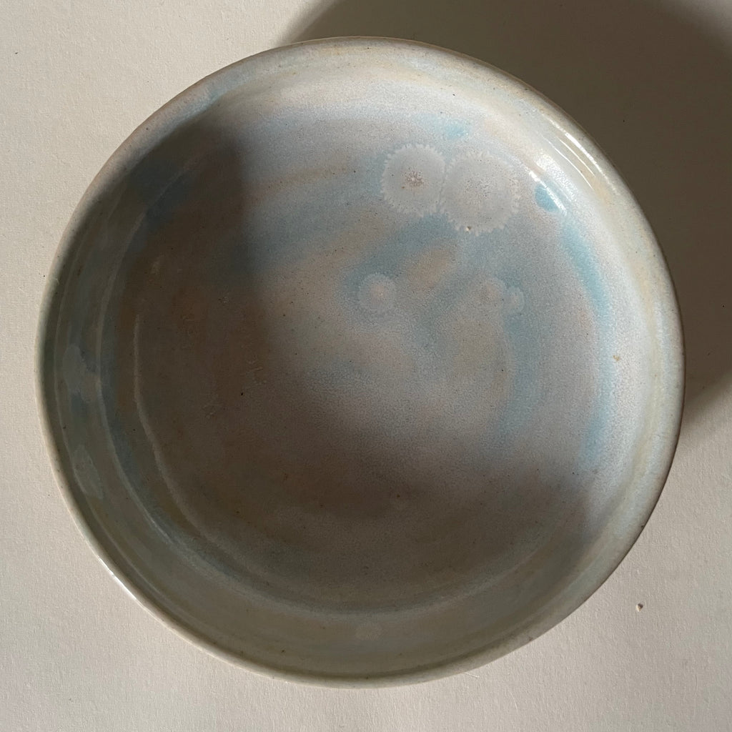 Ocean Spray Shallow Bowl